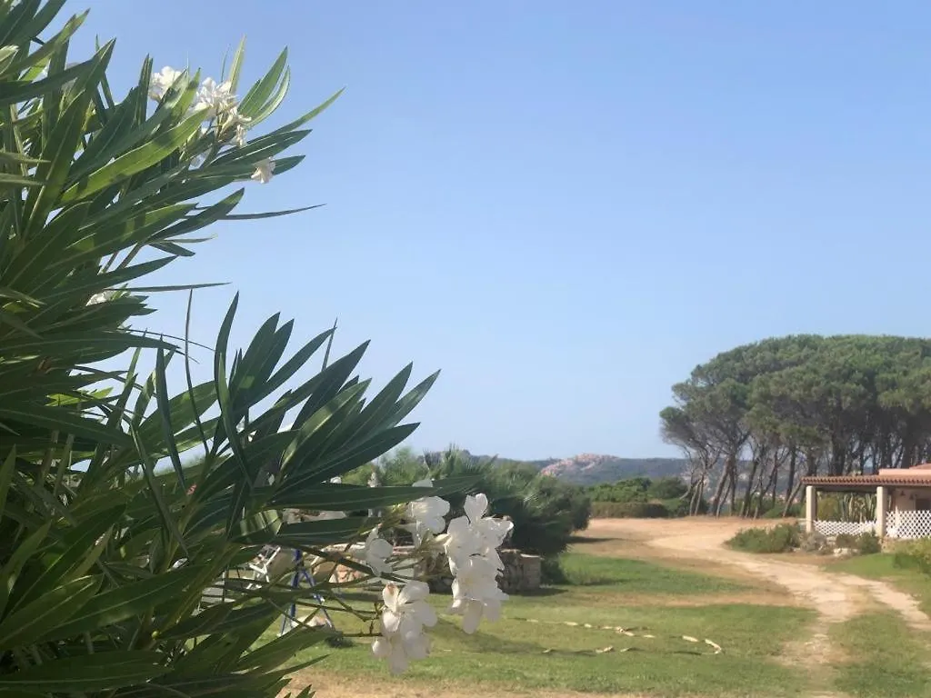 Lägenhet Palau Residence Sul Mare